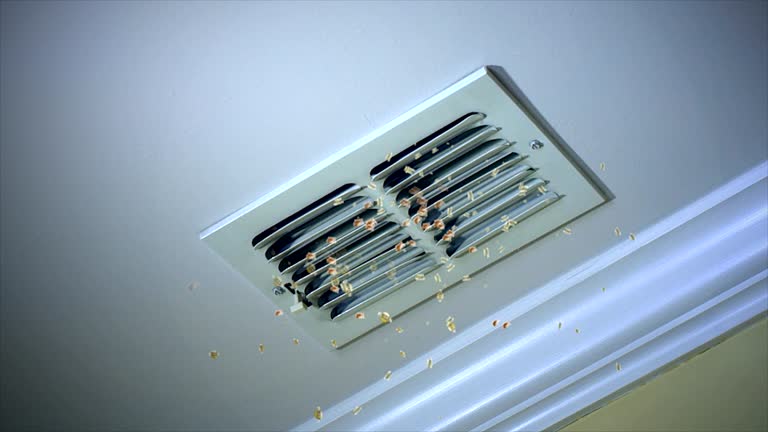 Best Home Air Vent Cleaning  in Glen Carbon, IL